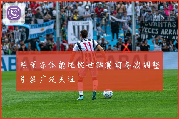 陈雨菲体能堪忧世锦赛前备战调整引发广泛关注