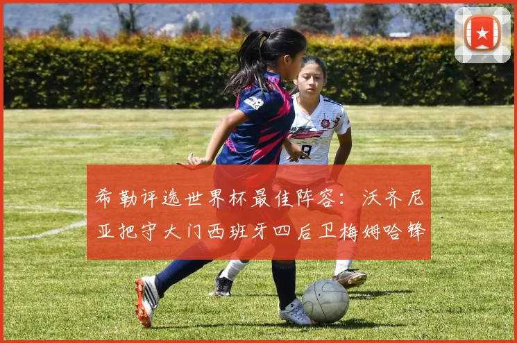 希勒评选世界杯最佳阵容：沃齐尼亚把守大门西班牙四后卫梅姆哈锋线领衔